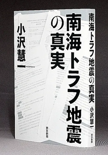 書評）『南海トラフ地震の真実』 小沢慧一〈著〉：朝日新聞デジタル