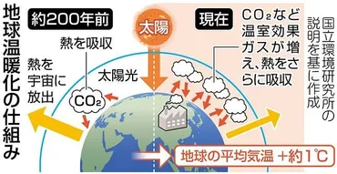 地球温暖化は野生動物にどんな影響を与えるの？絶滅の危機とは!!?