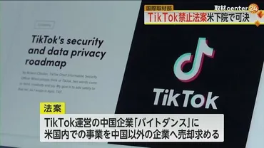 運営企業が中国共産党の管理下」TikTok禁止法案が米下院で可決…チュウCEO「多くの誤った情報」 使用禁止で米中対立激化も