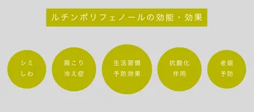 韃靼そば茶は血圧を下げる効果がある？ルチンの効能や副作用とは 