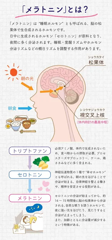 メラトニンとは？