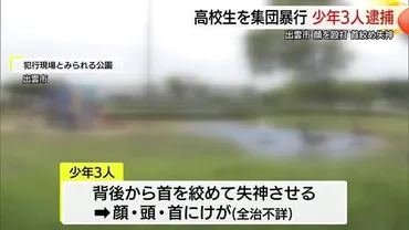 首を絞め失神…公園で男子高校生に集団暴行少年3人を傷害容疑で逮捕 「人が倒れている」と通報（島根）（ＴＳＫさんいん中央テレビ）