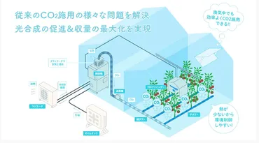 光合成促進は、植物の成長にどう役立つ？光合成の秘密とは！？