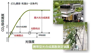 ITとロボティックスが凌駕する篤農家の農（５）「三大環境制御技術と設備のモジュール化の必要性」