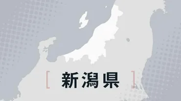 差別解消の県条例なのに「障害のある人とない人を区別」 新潟で物議（朝日新聞デジタル） 