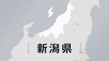 差別解消の県条例なのに「障害のある人とない人を区別」 新潟で物議 新潟県：朝日新聞デジタル