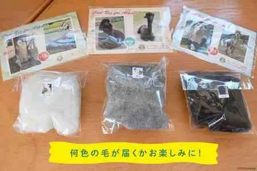 ファインプレイすぎる」「人を幸せにする天才」 西日本→東日本に送る荷物の「理想的な緩衝材」がこちらです(全文表示)