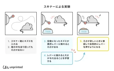 オペラント条件づけとは？報酬や罰によって行動が変わる