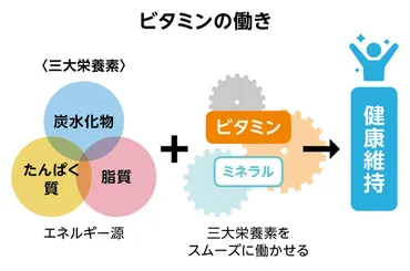 ビタミンの種類と働き、食べ物からの効率的な摂り方 