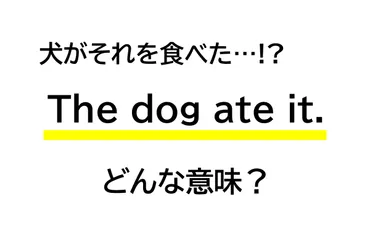 「Ill eat my hat」ってどういう意味？ハリーポッターにも登場する英語表現「Ill eat my hat」とは！？