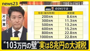 国民民主党「103万円の壁」を178万円に引き上げ案 実は゛8兆円゛の大減税 財源どうする？【news23】