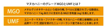 マヌカハニーってホントに効果あるの？その魅力と選び方を徹底解説!!