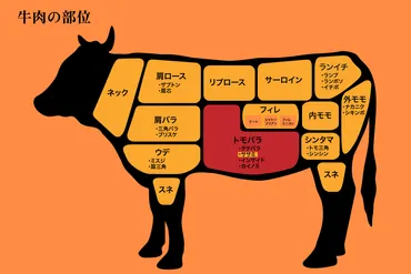 ダイエット 向きな牛肉の部位とは？脂質の少ない部位をランキング形式で紹介！