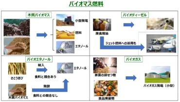 化石燃料に代わり注目される「バイオマス燃料」とは？種類や事例を紹介 