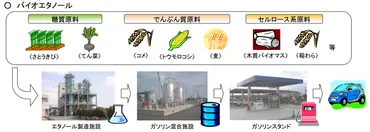 エネルギー】バイオ燃料の種類・実用性・課題 