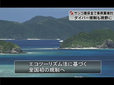 慶良間諸島 サンゴ礁の環境保全で条例制定へ – QAB NEWS Headline