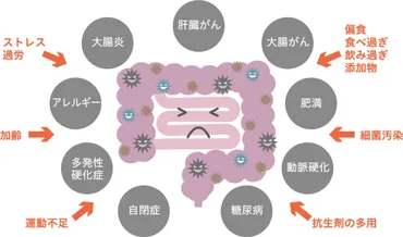 腸内フローラを整えよう │ 広報誌あすなろ