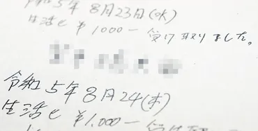 生活保護費を分割して満額支給せず10人に 副市長謝罪 群馬・桐生 群馬県：朝日新聞デジタル