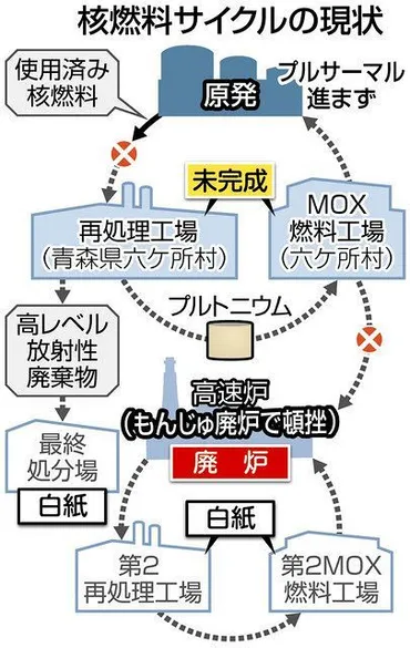 核燃料サイクル、河野氏「なるべく早く手じまいすべきだ」 岸田氏、高市氏は維持を主張：東京新聞デジタル