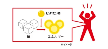 その疲れの原因は「栄養不足」かも!? ～withコロナに潜むリスク～ 