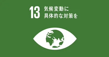 持続可能な開発目標・SDGsの目標13「気候変動に具体的な対策を」のターゲットや現状は？