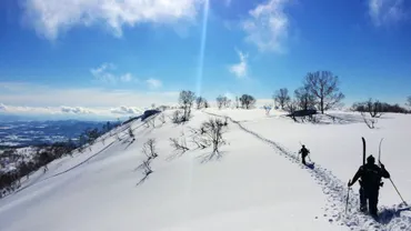 北海道ニセコ町「宿泊税」導入へ 素泊まり料金の2％ 