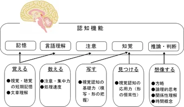 コグトレ（脳の認知機能強化トレーニング）の説明と受付 