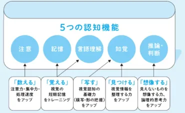 認知の力」は学習の土台に！5つの認知機能をパズルやナゾトキで鍛える『コグトレ』とは――児童精神科医・宮口幸治先生【LITALICO発達ナビ】