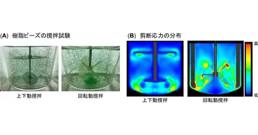 理研など、ヒトiPS細胞を2L規模で100億個一気に培養できる手法を開発 