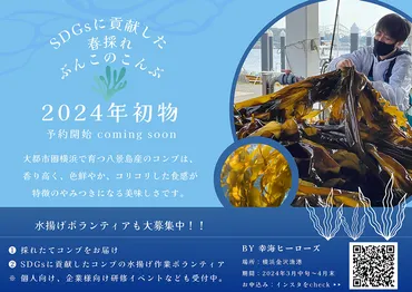 海の中の環境問題を、昆布の力で解決しよう！と取り組んでいる幸海ヒーローズの富本龍徳さんにお話を伺います。 – J