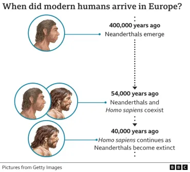 ネアンデルタール人の絶滅、皆殺しが原因ではなかった＝新研究 