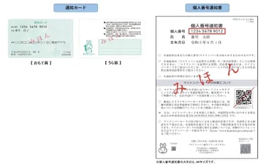 通知カード、個人番号通知書、マイナンバーカードについて 