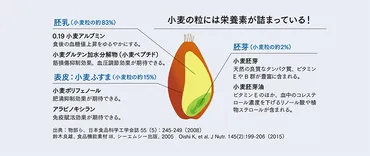 小麦粉！あなたはどれを知ってる？小麦粉の世界とは！？