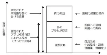 プラセボ対照試験とは