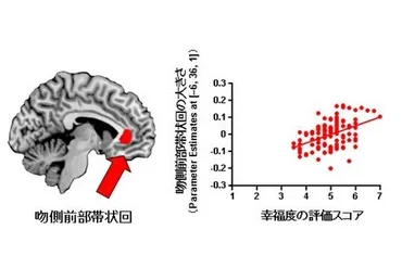 幸せ」はトレーニングで増強できる!? 生理学研究所が発表 