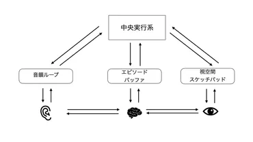 ワーキングメモリ 