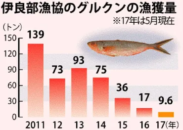 追い込み漁 中断の危機／伊良部「アギヤー」人材不足で／グルクンの漁獲量激減 