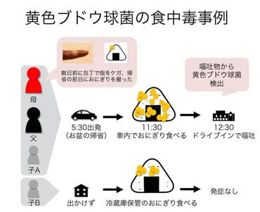 指の傷の黄色ぶどう球菌がおにぎりで増殖し、それを食べておう吐したケース 