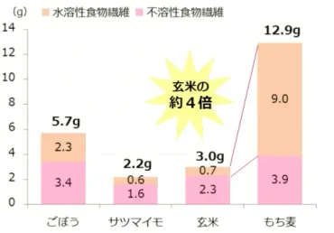 もち麦で腸活！水溶性食物繊維゛ベータグルカン゛でスッキリ 