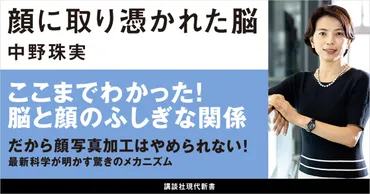 顔に取り憑かれた脳？私たちが理想の顔を追い求める理由顔の科学とは！？