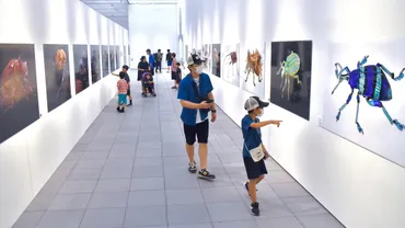 大分県立美術館で養老孟司さん＆小檜山賢二さんの虫展 微細な造形美、眼前に 