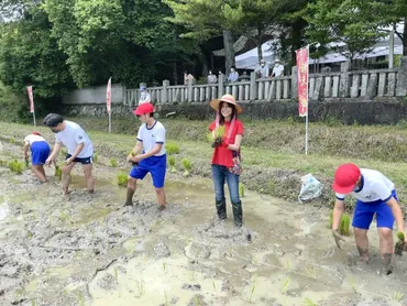 歌手の相川七瀬さん、伝統の赤米神事「残したい」 泥まみれで継承に奔走 » Japan 2 Earth