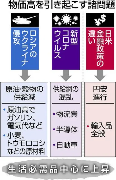 ウクライナ侵攻と新型コロナが生んだ物価高 超低金利政策で円安追い打ち、生活を直撃 参院選の大きな争点：東京新聞デジタル