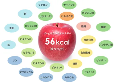 りんごの栄養価
