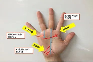 あげまん線って本当にあるの？男性の運気を上げる手相の秘密に迫る！とは！？