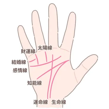 手相占い】運命線で何がわかる？長さ・濃さ・形別の見方を解説 