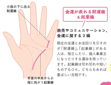 一生の金運を見るのは太陽線だが、自分の開運のタイプを知ったり、運を補強する重要な線や特別なマークとは？【手相がわかれば未来は変わる！金持ち手相占い】(ラブすぽ)  