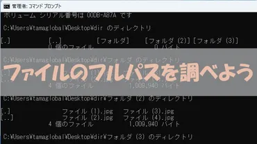 コマンドプロンプトでファイルのフルパス一覧を取得する方法(dirコマンドの使い方とオプション解説)
