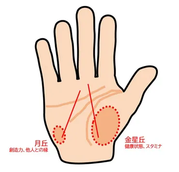 手相占い】すぐわかる運命線の見方… 長さや形で運勢を読み解こう！ 