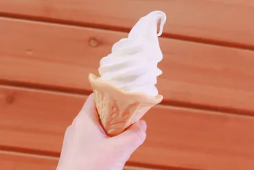 【女性に聞いた】「新千歳空港で食べたいアイス・ソフトクリーム」ランキングTOP27! 第1位は「白い恋人ソフトクリーム ミックス(JAL PLAZA 中央ゲートショップ)」【2024年最新調査結果】(1/6)